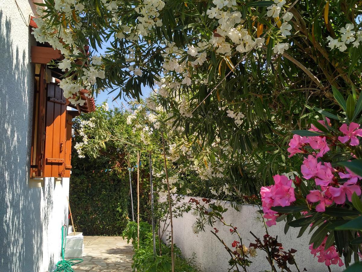 Kyriaki Hotel Skopelos Eksteriør billede