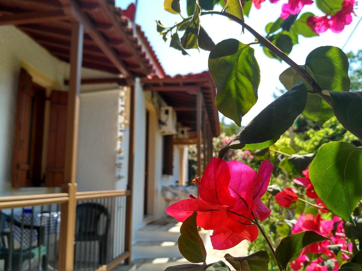 Kyriaki Hotel Skopelos Eksteriør billede